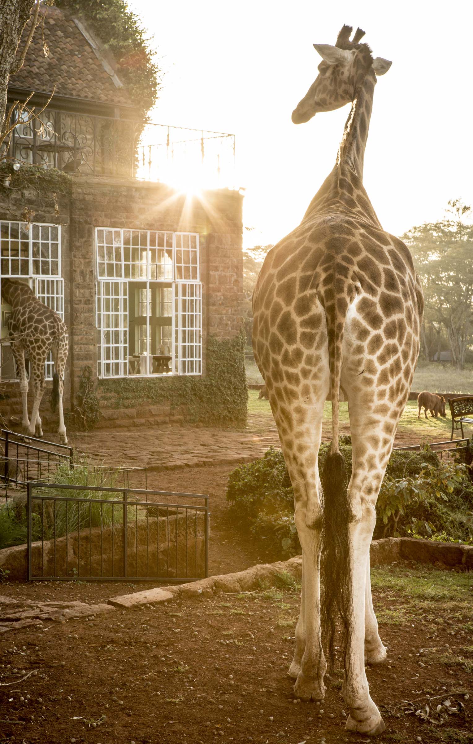 Giraffe Manor Kenya resort