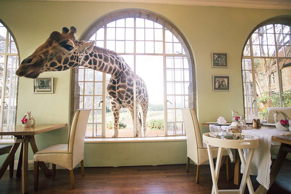 Giraffe Manor Kenya hotel