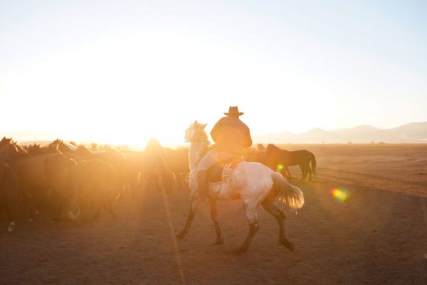 Horse Ranch, Turkey